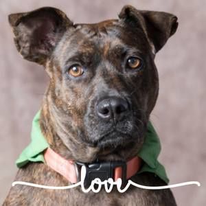 Meet your Posher, Kevin